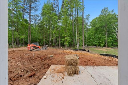 New construction Single-Family house 65 Water Oak Trail, Covington, GA 30014 - photo 19 19