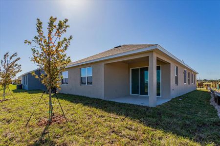 New construction Single-Family house 5820 Springer Street, Saint Cloud, FL 34771 - photo 18 18