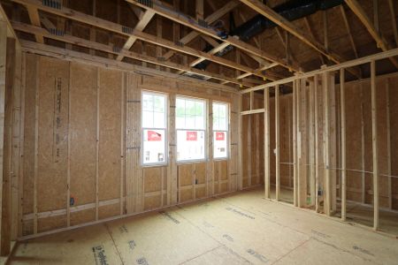 New construction Single-Family house 3110 Armeria Drive, Apex, NC 27502 Brittain - Signature Collection- photo 27 27