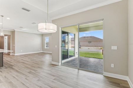 New construction Single-Family house 2264 Seasgrass Point, Unit 446, Kissimmee, FL 34747 Dominica- photo 8 8