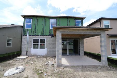 New construction Single-Family house 2852 Misty Marble Drive, Zephyrhills, FL 33540 Castellana- photo 48 48