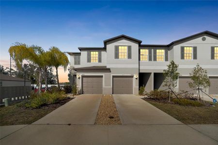 New construction Townhouse house 10422 Shady Preserve Drive, Riverview, FL 33578 - photo 2 2