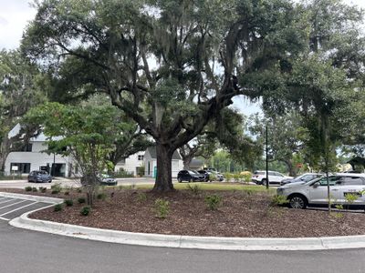 New construction Townhouse house 201 Saunter Court, Johns Island, SC 29455 The Petit Syrah- photo 65 65