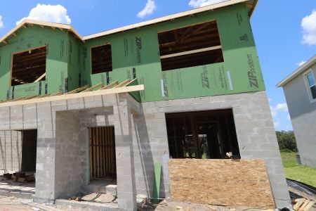 New construction Single-Family house 9635 Crescent Ray Drive, Wesley Chapel, FL 33545 Mira Lago- photo 20 20