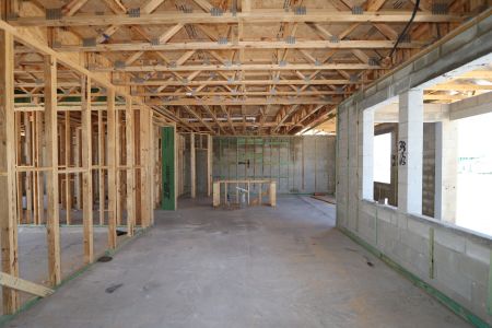 New construction Single-Family house 31870 Sapna Chime Drive, Wesley Chapel, FL 33545 Casanova- photo 28 28