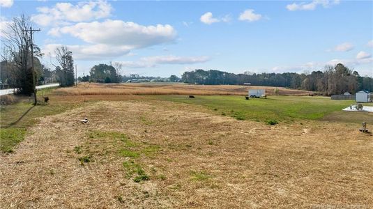 New construction Single-Family house 19 Muscadine Way, Unit Lot 1, Smithfield, NC 27577 - photo 42 42