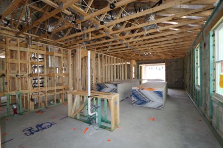 New construction Single-Family house 33224 Amling Pecan Branch, Wesley Chapel, FL 33545 Newport II- photo 20 20