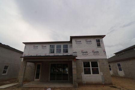 New construction Single-Family house 12114 Hilltop Farms Drive, Dade City, FL 33525 Alenza- photo 63 63