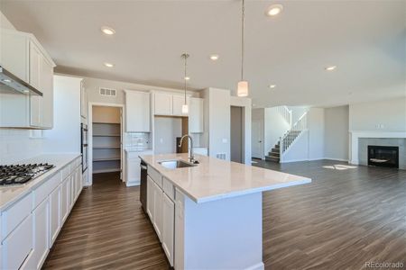 New construction Single-Family house 13800 Hanging Lake Street, Parker, CO 80138 Camellia- photo 6 6