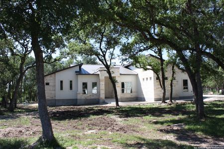 New construction Single-Family house 1136 Crystal Falls, Spring Branch, TX 78070 - photo 3 3