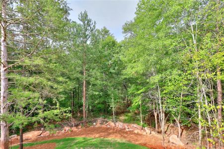 New construction Single-Family house 356 Tara Court, Mansfield, GA 30055 - photo 46 46