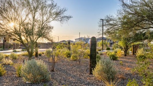 New construction Single-Family house 5729 E Rose Garden Ln, Phoenix, AZ 85054 Hartford- photo 3 3