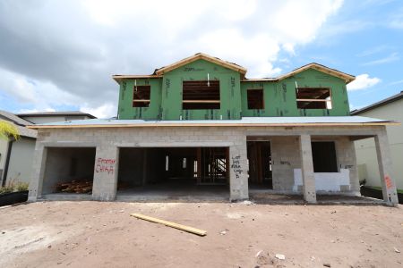 New construction Single-Family house 3024 King Fern Drive, Wimauma, FL 33598 Mira Lago- photo 20 20