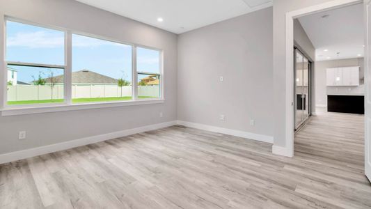 New construction Single-Family house 10689 Torchwood Sea Way, San Antonio, FL 33576 Egret SF- photo 16 16
