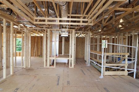 New construction Single-Family house 2530 Sunny Pebble Loop, Zephyrhills, FL 33540 Salinas- photo 33 33