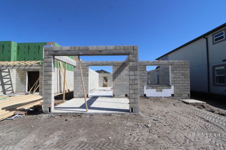 New construction Single-Family house 2857 Misty Marble Drive, Zephyrhills, FL 33540 Castellana- photo 10 10