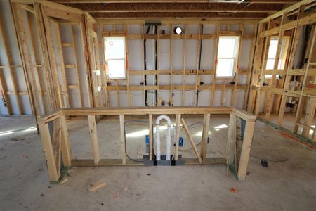 New construction Single-Family house 420 Leeward Pass, Leander, TX 78641 Dandelion- photo 4 4