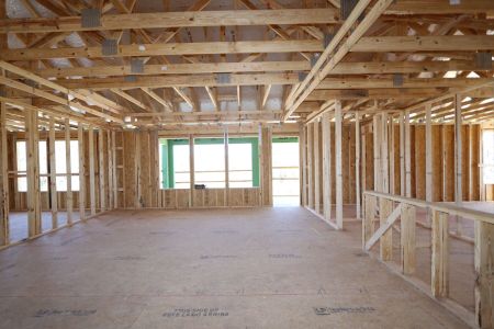 New construction Single-Family house 10614 New Morning Drive, Tampa, FL 33647 Grandsail  III- photo 29 29