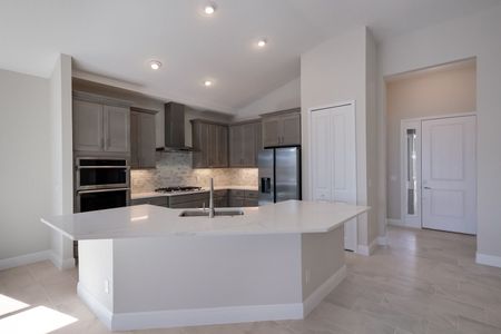 The Willows Single-Family Homes by Medallion Home in Parrish - photo 20 20