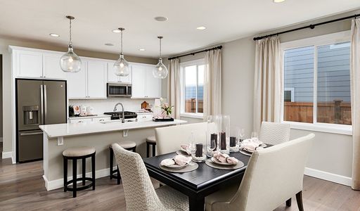 Seasons at Revere by Richmond American Homes in Johnstown - photo 24 24