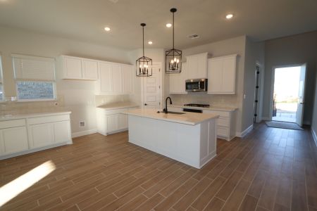 New construction Single-Family house 1037 Pansy Trail, Georgetown, TX 78628 Belmont II- photo 37 37