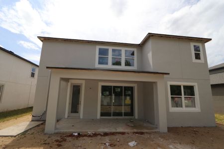 New construction Single-Family house 12114 Hilltop Farms Drive, Dade City, FL 33525 Alenza- photo 107 107