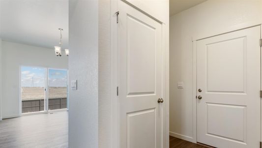 New construction Single-Family house 4564 Cattle Cross Rd, Castle Rock, CO 80104 Holcombe- photo 7 7