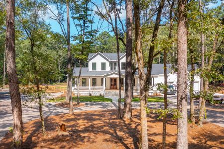 New construction Single-Family house 1451 Ravens Bluff Road, Johns Island, SC 29455 - photo 74 74