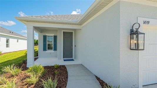 New construction Single-Family house 14539 Skipping Stone Loop, Parrish, FL 34219 - photo