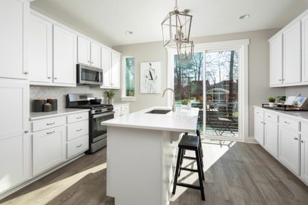Caswell by Empire Communities in Charlotte - photo 25 25