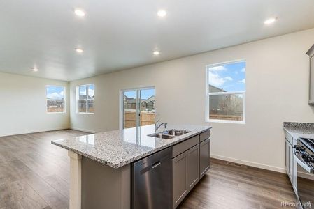 New construction Single-Family house 4556 Cattle Cross Trail, Castle Rock, CO 80104 The Holcombe - photo 14 14