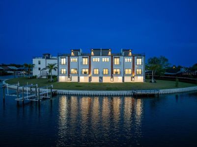 New construction Townhouse house 773 Gran Kaymen Way, Apollo Beach, FL 33572 - photo 6 6