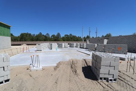 New construction Single-Family house 2505 Clary Sage Drive, Spring Hill, FL 34609 Corina  III Bonus- photo 8 8