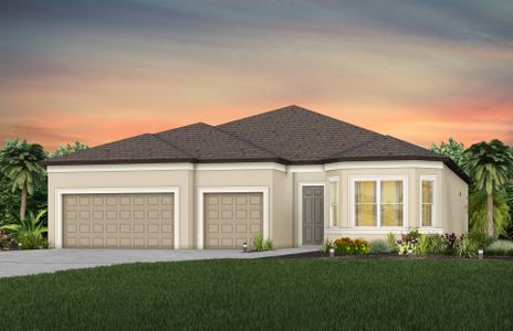 New construction Single-Family house 20876 Drake Elm Drive, Land O' Lakes, FL 34638 - photo 3 3