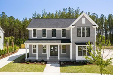 New construction Single-Family house 216 Carefree Way, Summerville, SC 29486 - photo 2 2