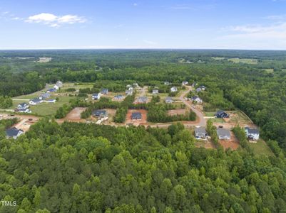 New construction Single-Family house 10 Moonraker Drive, Spring Hope, NC 27882 - photo 7 7