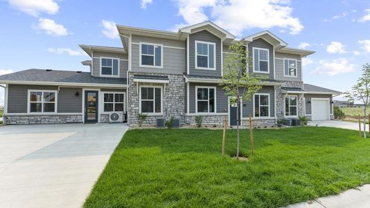 New construction Multi-Family house Monarch, 6838 Stonebrook Drive, Timnath, CO 80547 - photo