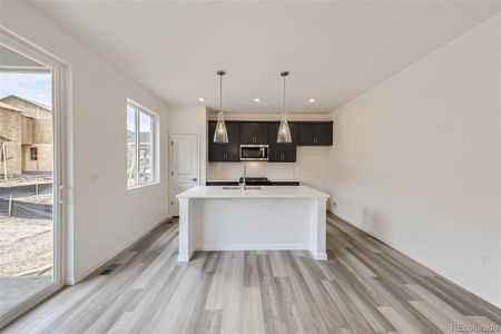 New construction Single-Family house 845 Sawdust Dr, Brighton, CO 80601 - photo 6 6