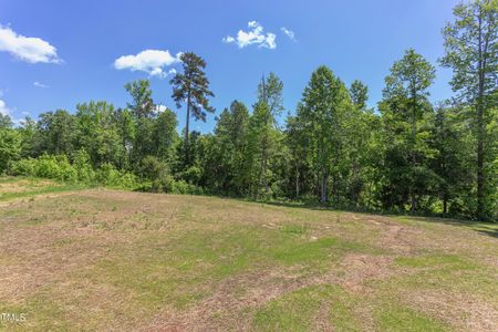 New construction Single-Family house 95 Harvest View Way, Franklinton, NC 27525 - photo 75 75