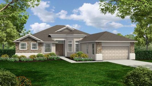New construction Single-Family house Dismuke Drive, Lakeland, FL 33812 - photo 1 1