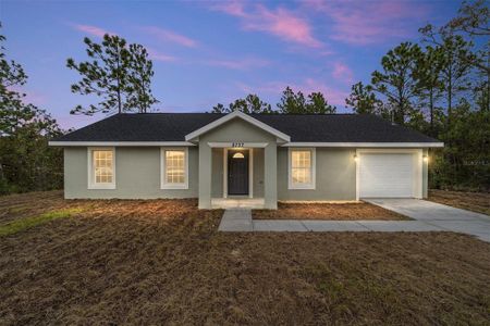 New construction Single-Family house 2745 Sw 151St Avenue, Ocala, FL 34481 - photo 0