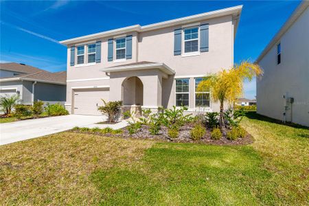 New construction Single-Family house 13090 Brookside Moss Drive, Riverview, FL 33579 - photo