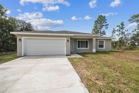 New construction Single-Family house 12438 Sw 87Th Ave, Dunnellon, FL 34432 - photo 0