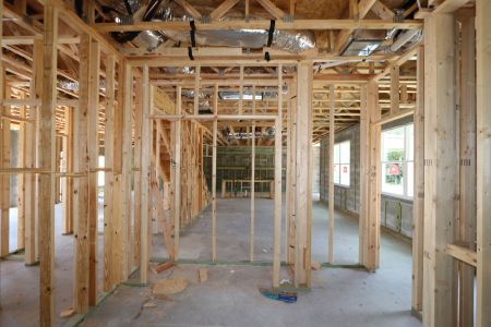 New construction Single-Family house 9611 Crescent Ray Drive, Wesley Chapel, FL 33545 Dali- photo 42 42