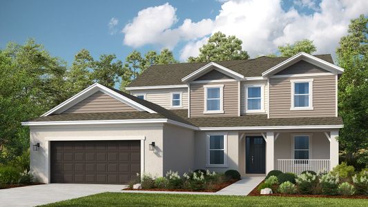 New construction Single-Family house 33314 Castaway Loop, Wesley Chapel, FL 33543 - photo 9 9