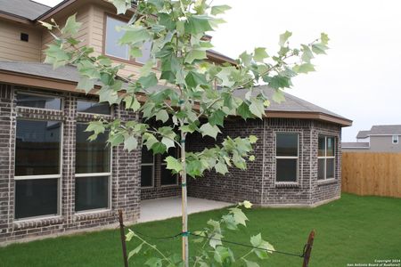 New construction Single-Family house 2556 Windle Ln, Seguin, TX 78155 - photo 50 50