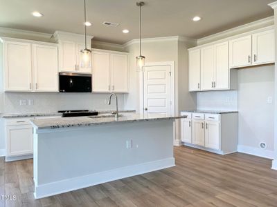 New construction Single-Family house 110 Denali Drive, Unit Lot 23, Angier, NC 27501 Clearwater- photo 10 10