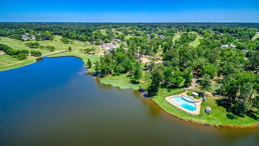 New construction Single-Family house 9 Snead Lane, Huntsville, TX 77340 - photo 10 10