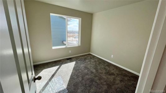 New construction Multi-Family house 2397 Harlequin Place, Johnstown, CO 80534 Biscayne- photo 17 17