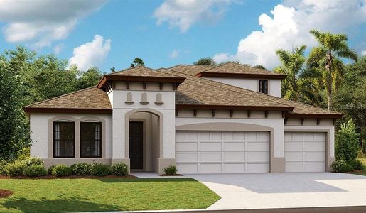 New construction Single-Family house 13247 Twin Bridges Drive, Riverview, FL 33579 Swann IV- photo 0